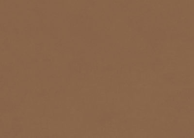 CHROMATIC CAMEL 33,3X100