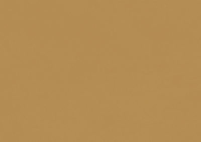 CHROMATIC HONEY 33,3X100