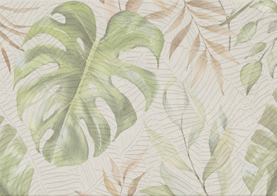 DC FICUS TALCO 33,3x100